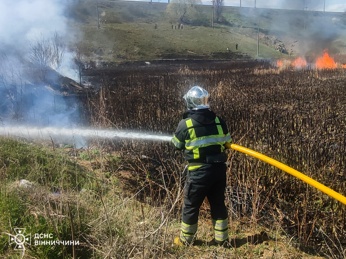 Найбільше пожеж сталося на Вінниччині в екосистемах