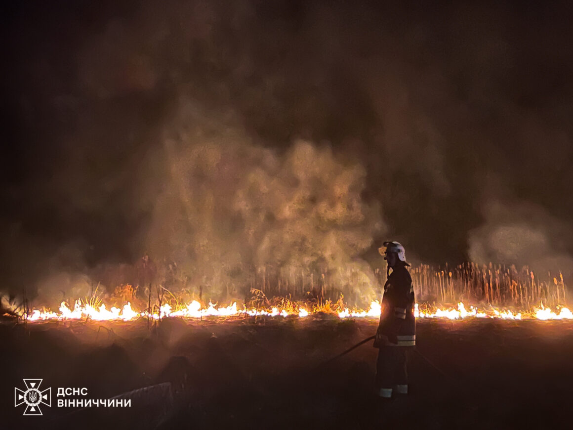 На Вінниччині рятувальники ліквідували п’ять пожеж