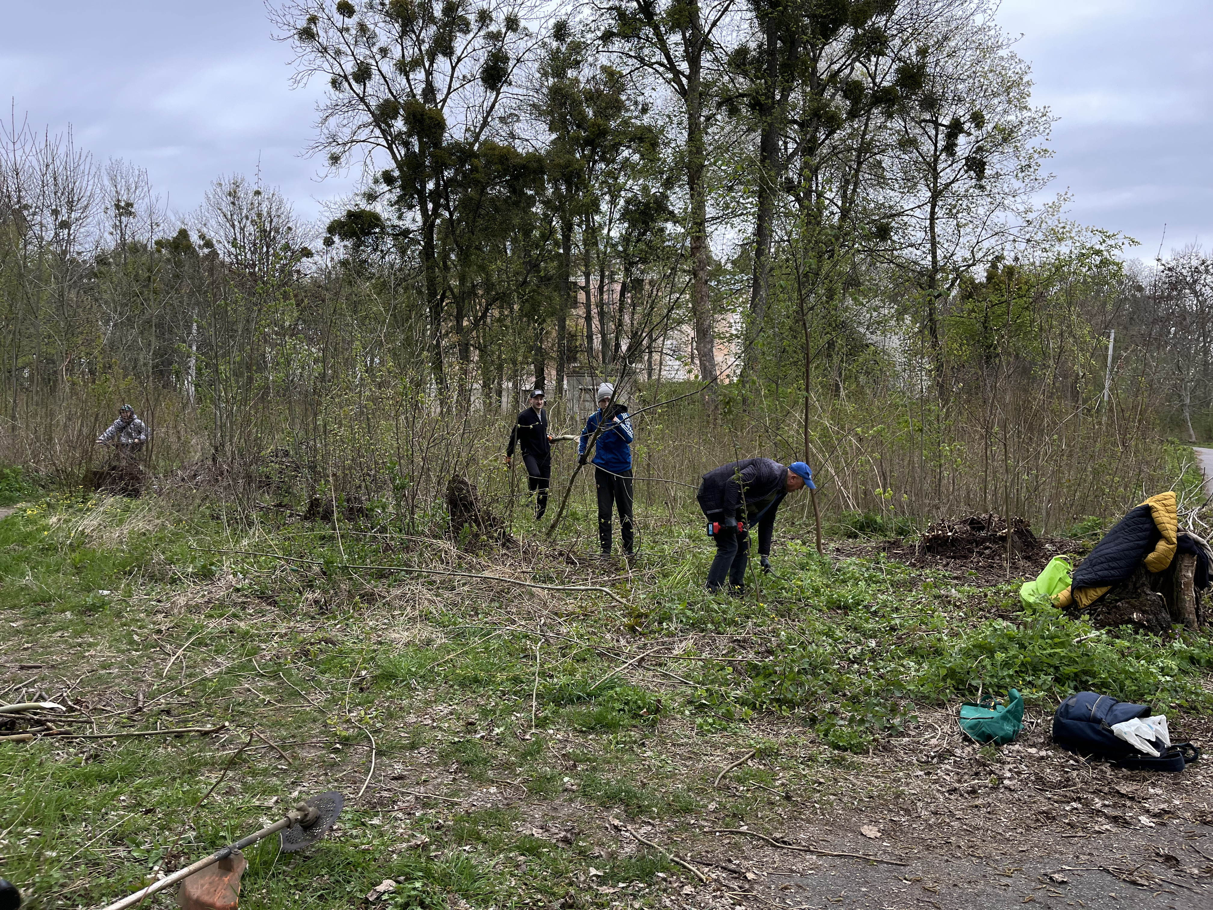 У Вінниці відбулася толока в П’ятничанському парку