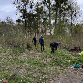 Толока в П'ятничанському парку.