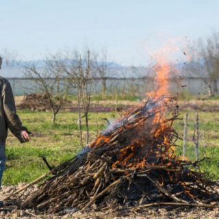 Палять траву.