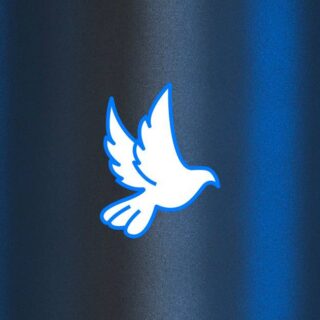 Загинули за Україну.