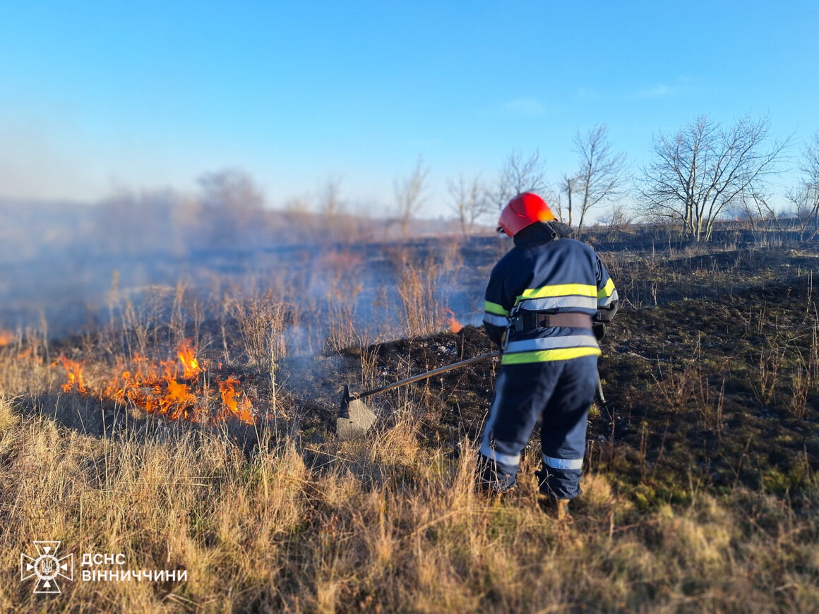 У Вінницькій області вогонь обпалив 18 гектарів землі
