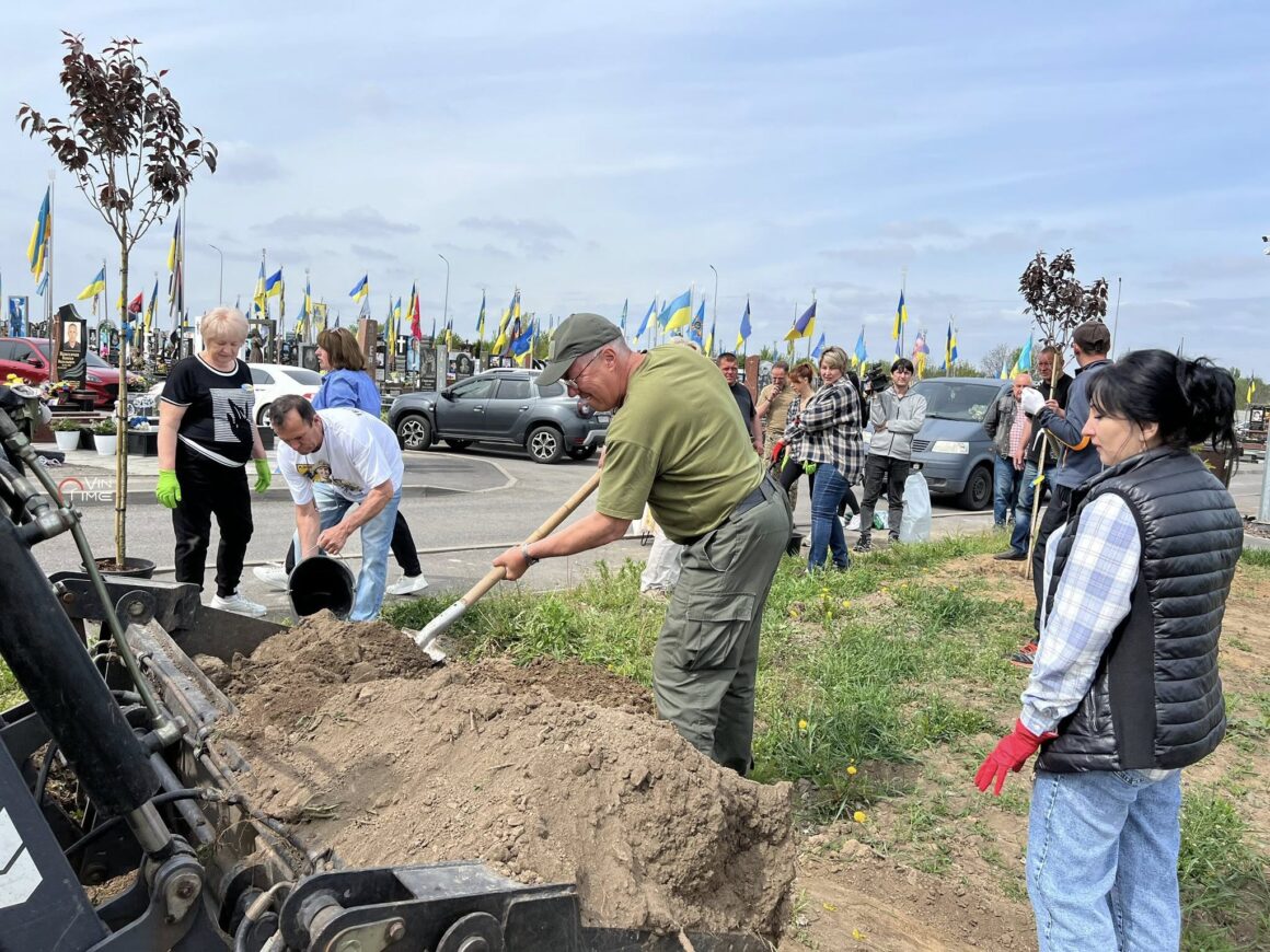 У Вінниці на Алеї Слави висадили алею сакур