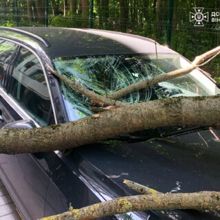 Дерево впало на автівку.
