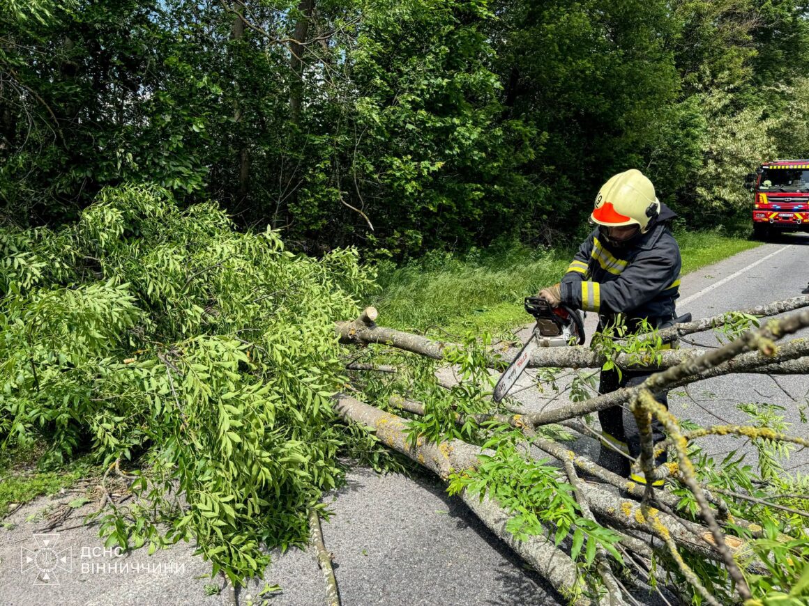 У Вінницькій області дерева падали на дороги від негоди