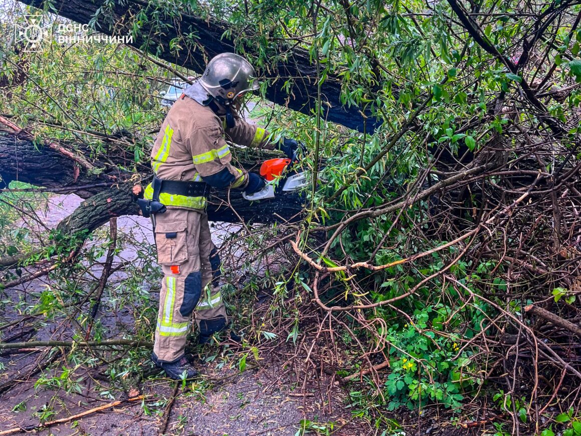 У Вінниці крижували дерево, що впало на дорогу