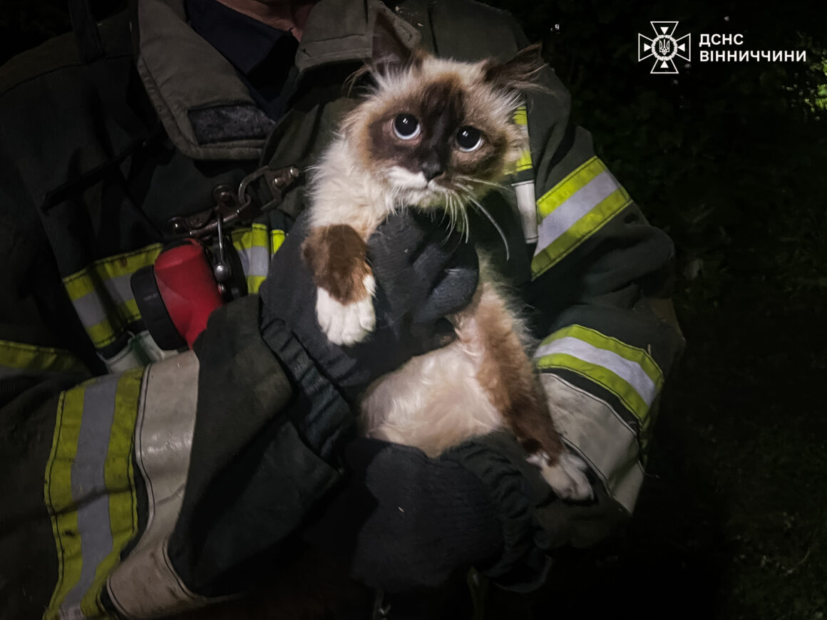 На Вінниччині рятувальники визволили тварин із пасток