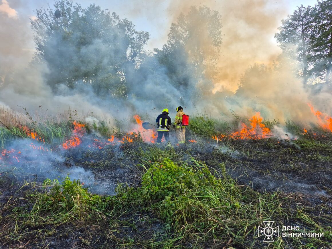 На Вінниччині сталося майже 600 пожеж на відкритих територіях