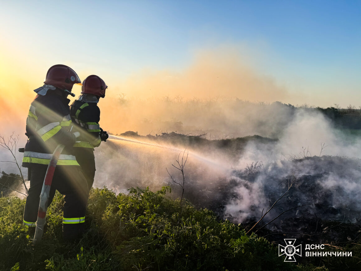 У Вінницькій області сталося 20 пожеж