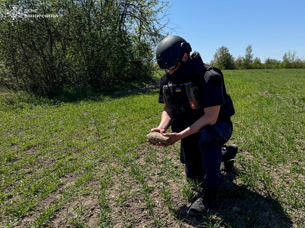 На Вінниччині сапери знищили мінометну міну, на яку натрапили селяни