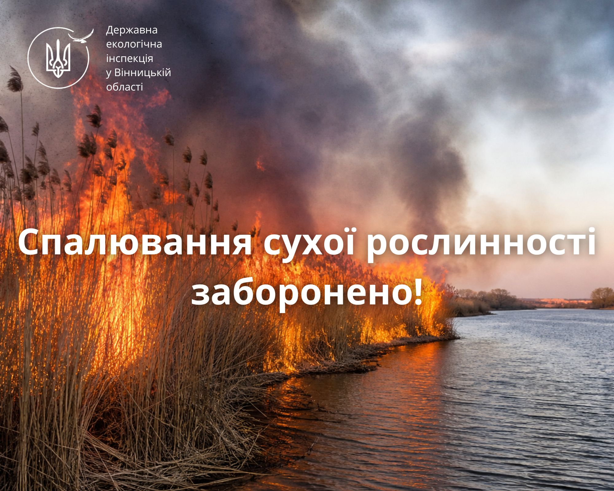 Вінничанам нагадали про штрафи за випалювання сухої рослинності