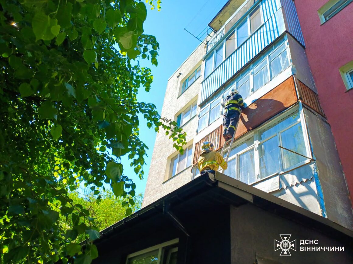 На Вінниччині рятувальники допомогли жінці