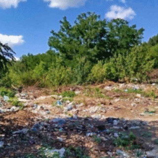 Ліквідували звалище.