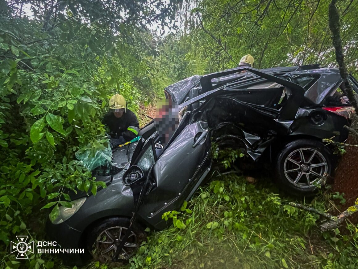 На Вінниччині автомобіль злетів з дороги та зіткнувся з деревом