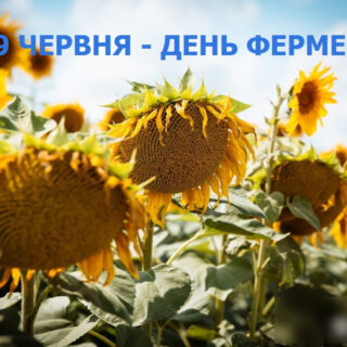 День фермера.