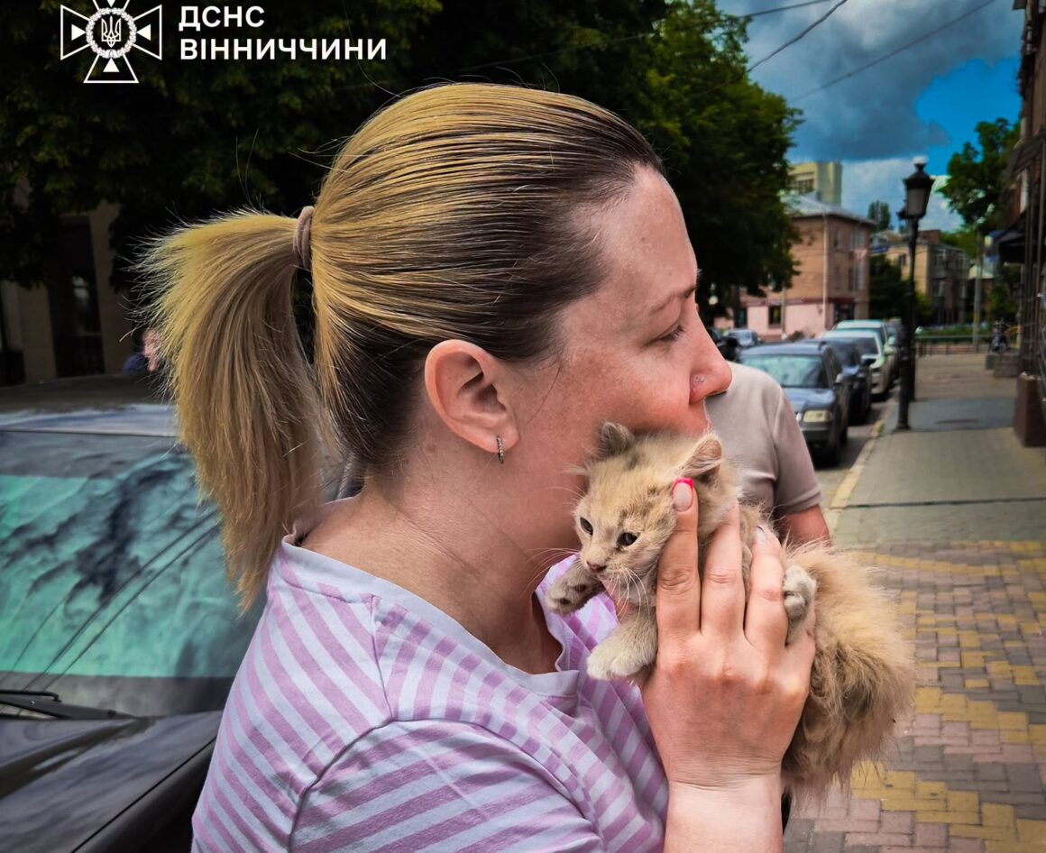 Вінницькі рятувальники витягли кошеня, яке застрягло у моторному відсіку автівки