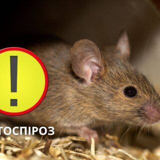 Лептоспіроз.