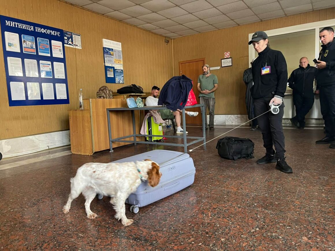 Службова собака вінницьких митників Белла розшукала наркотики у порушника