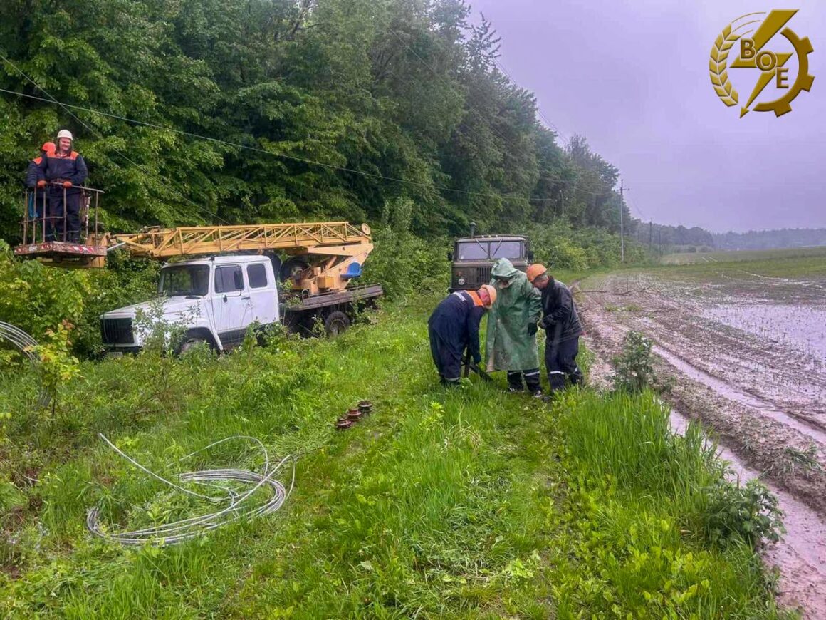 Жителям Вінницької області після негоди світло повертали впродовж доби