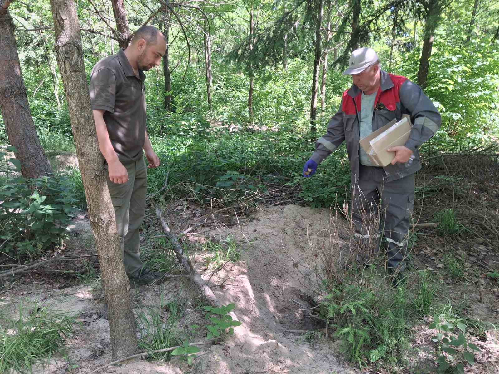 На Вінниччині розпочали облік та імунізацію диких тварин