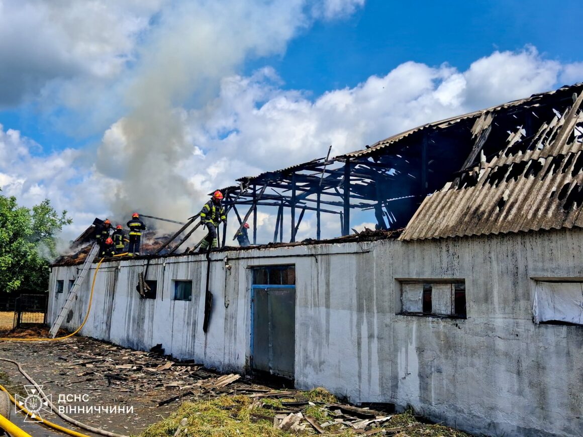 Доба з пожежами на Вінниччині: під вогнем опинилися дах ферми, будинок та автівка