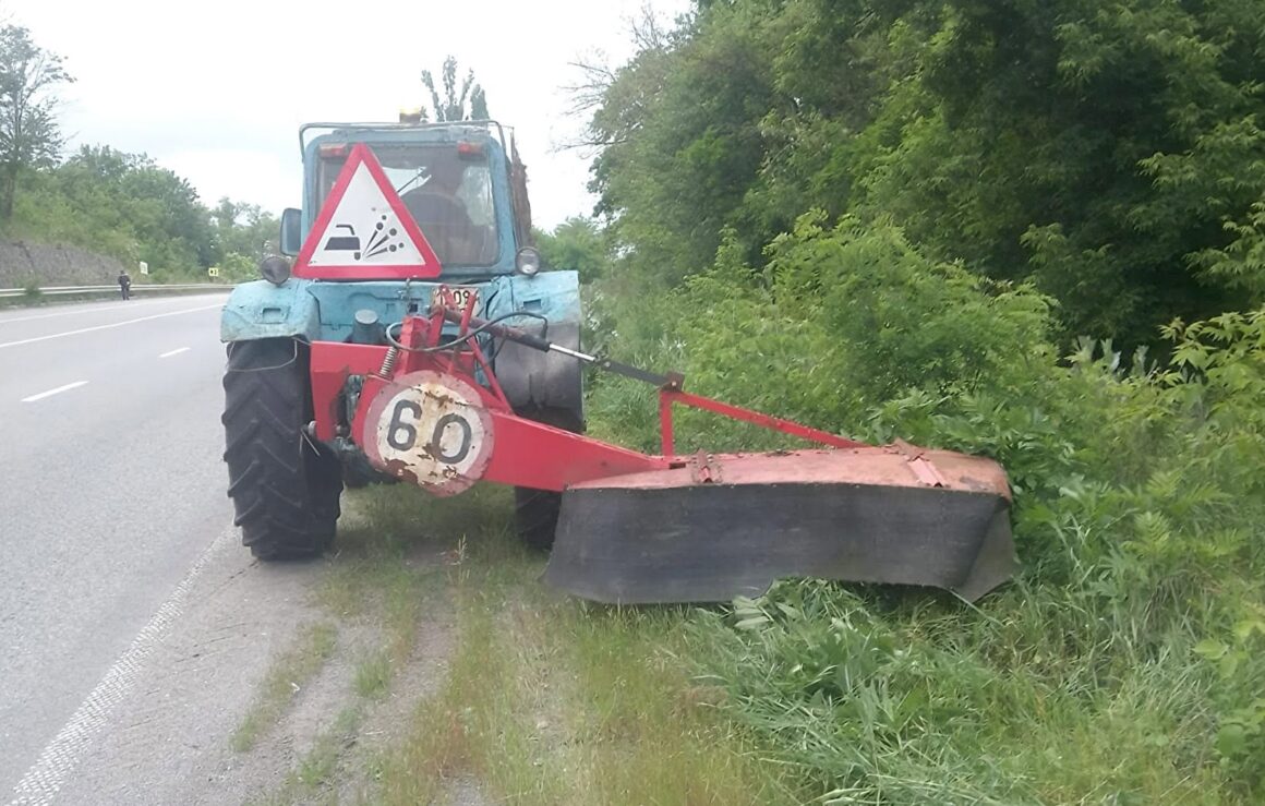 У Вінницькій області після дощів на узбіччях доріг забуяли чагарники та будяки