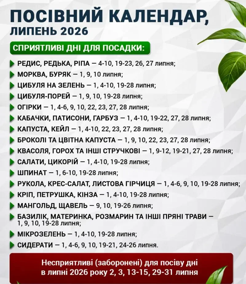 Липень на городі: Місячний посівний календар на липень 2026 року