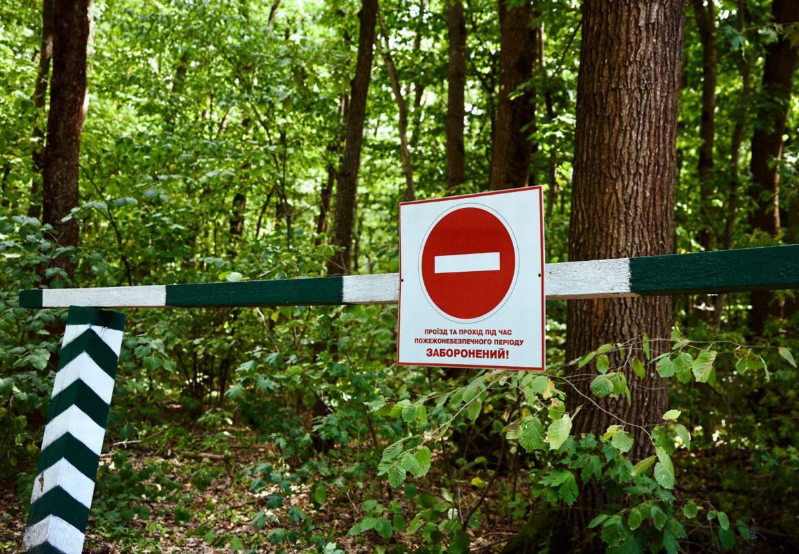 На Вінниччині лісівники працюють у посиленому режимі