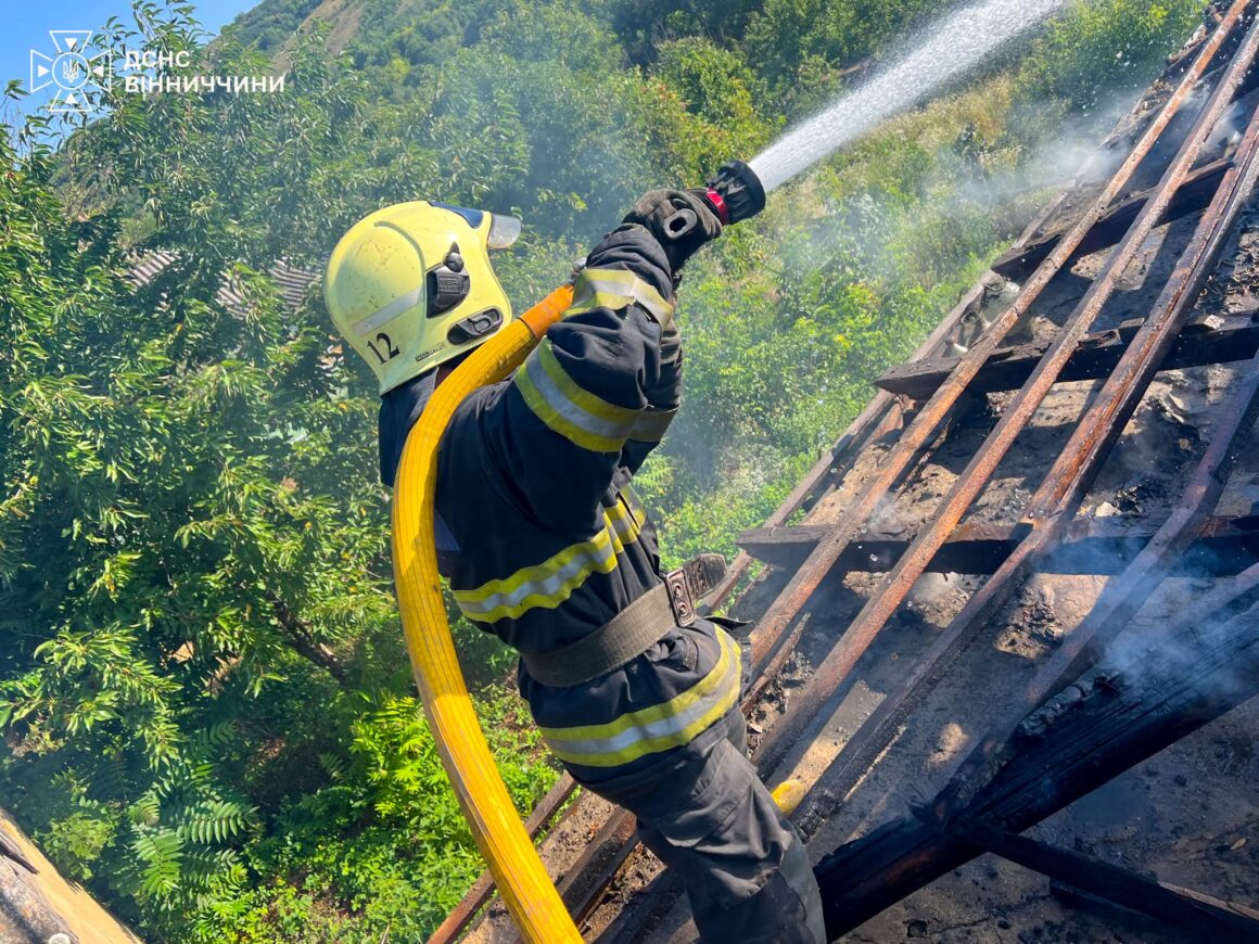 У Вінницькій області горіло в екосистемах та в населених пунктах