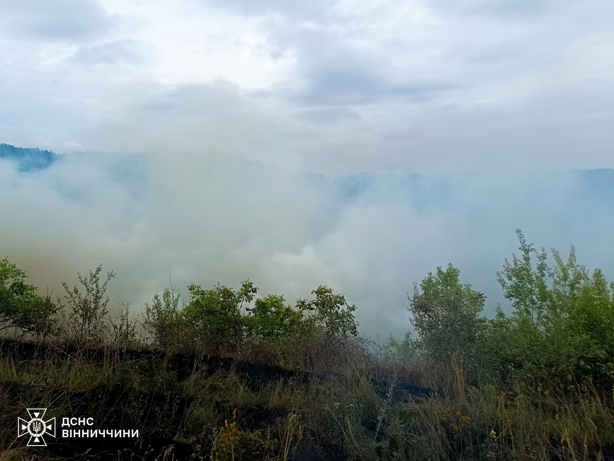 На Вінниччині вигоріло п’ять гектарів рослинності