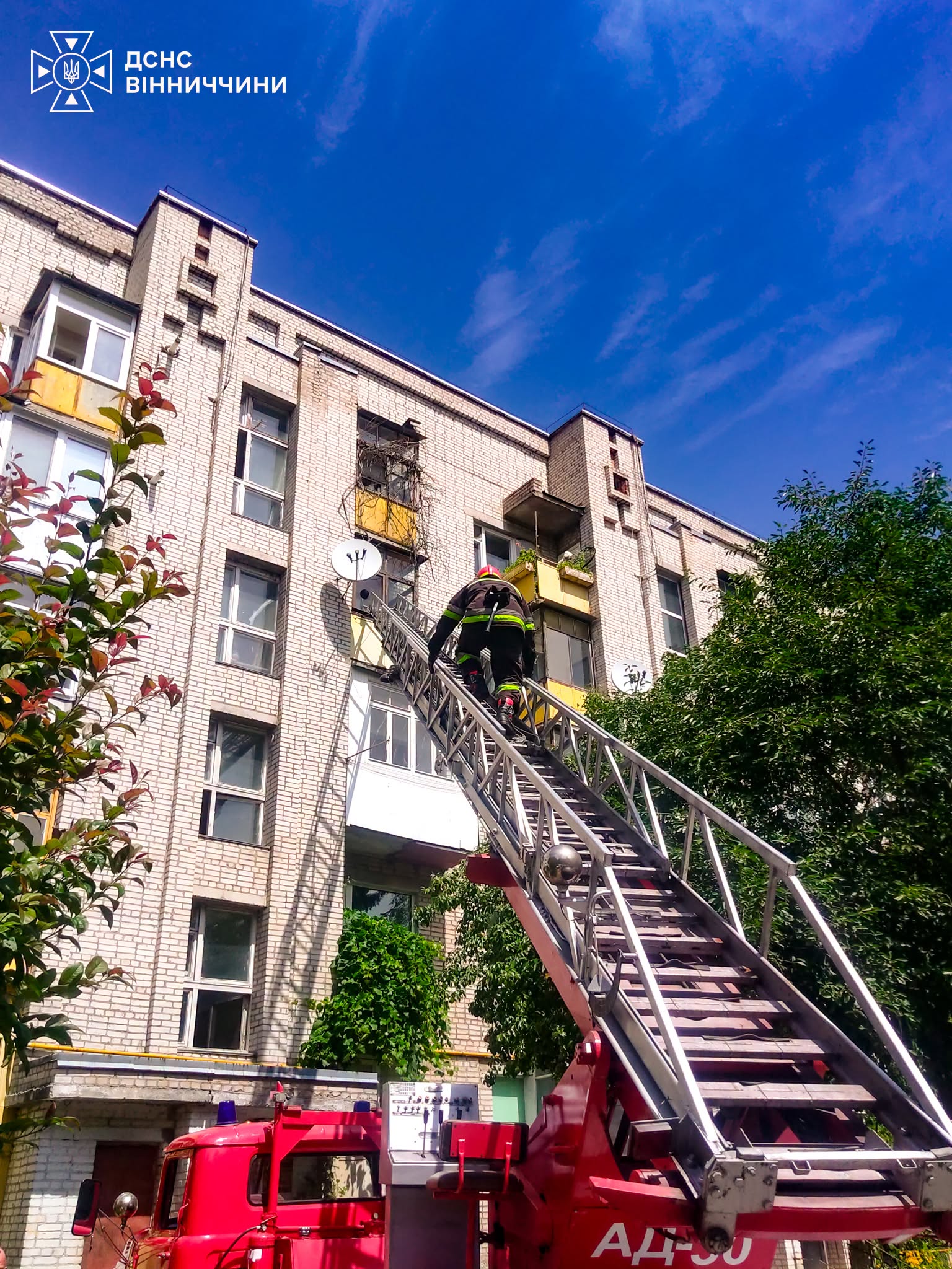 У Вінниці рятувальники лізли на четвертий поверх, щоб відчинити двері до пенсіонерки