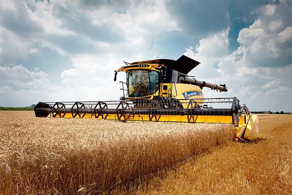 На Вінниччині розпочалася активна фаза жнив, збирають ячмінь