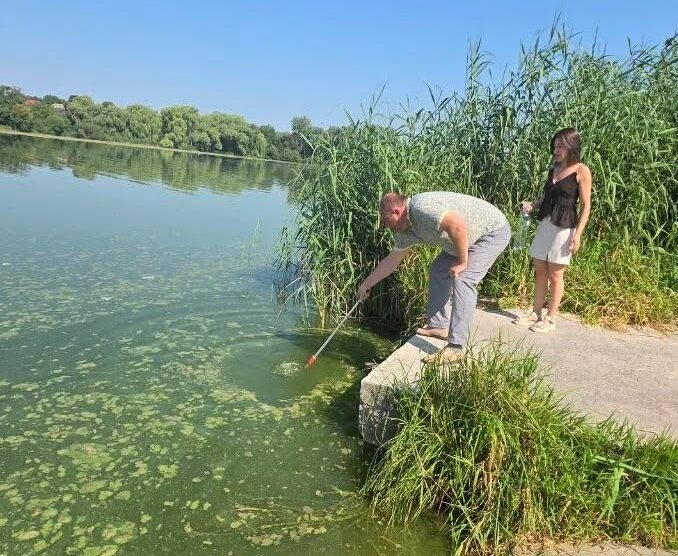 Вінничанам розказали чому Південний Буг зеленіє