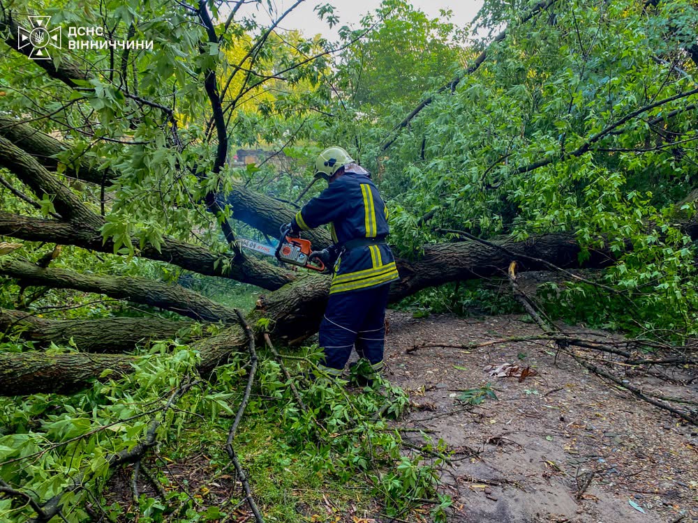 На Вінниччині ліквідовували наслідки нічної грози