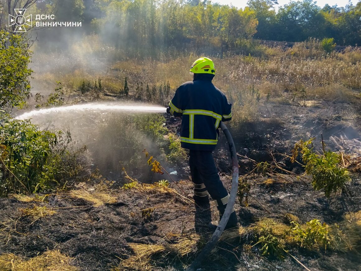 Вісім гектарів рослинності вигоріло на Вінниччині за добу