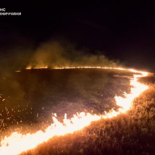 Пожежі в екосистемах.