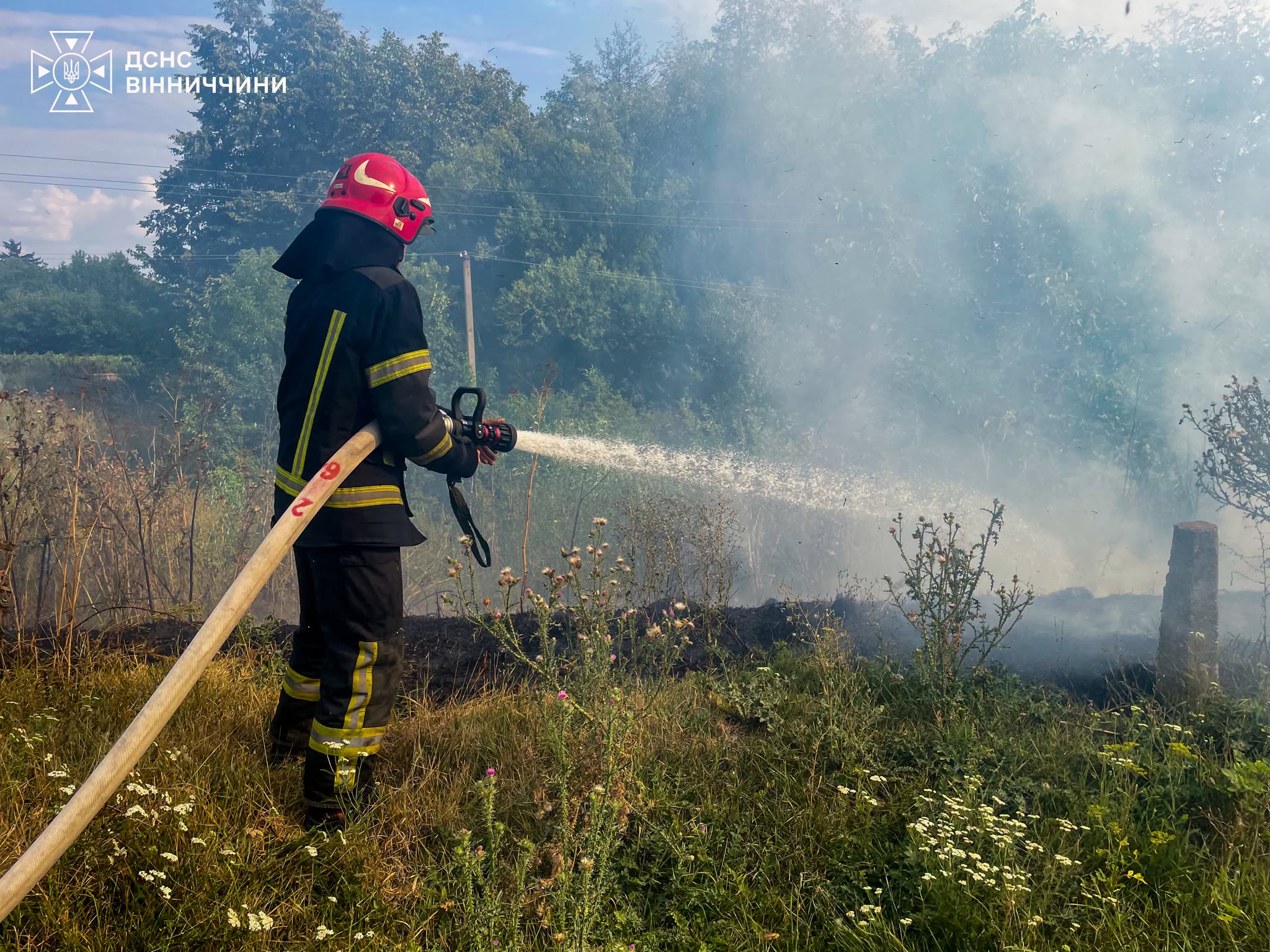На Вінниччині за добу зафіксували 25 пожеж в екосистемах