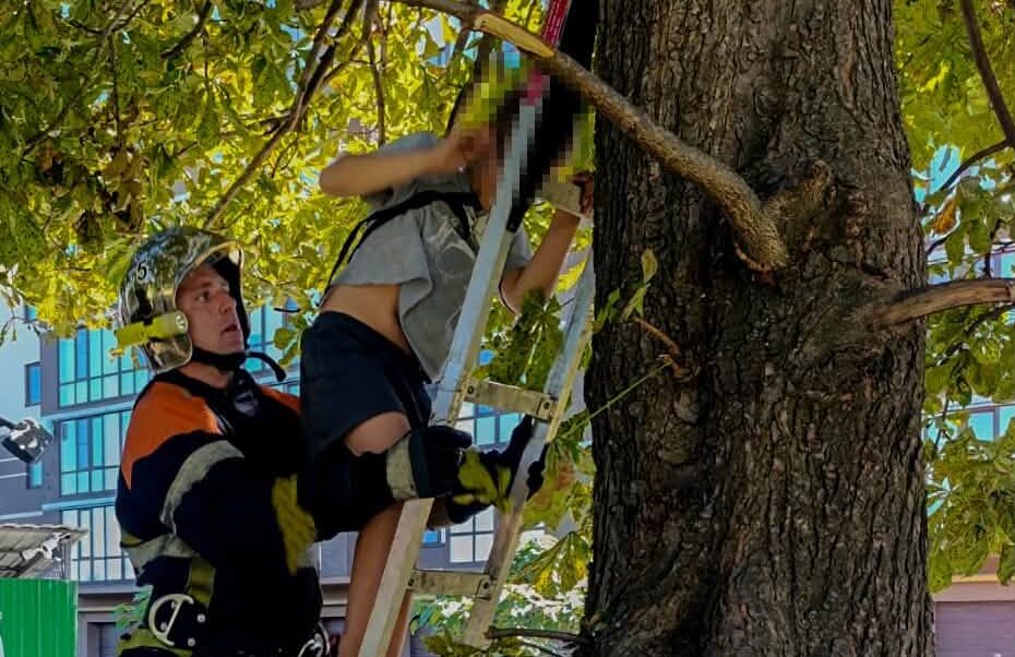 У Вінниці рятувальники знімали хлопчика з дерева
