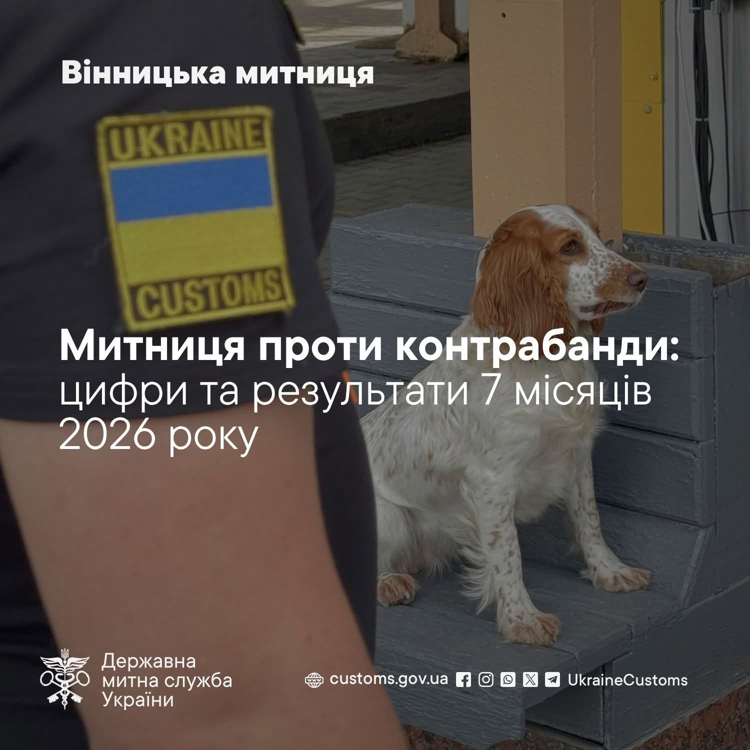 На Вінниччині вилучили контрабанди на 10,9 млн грн