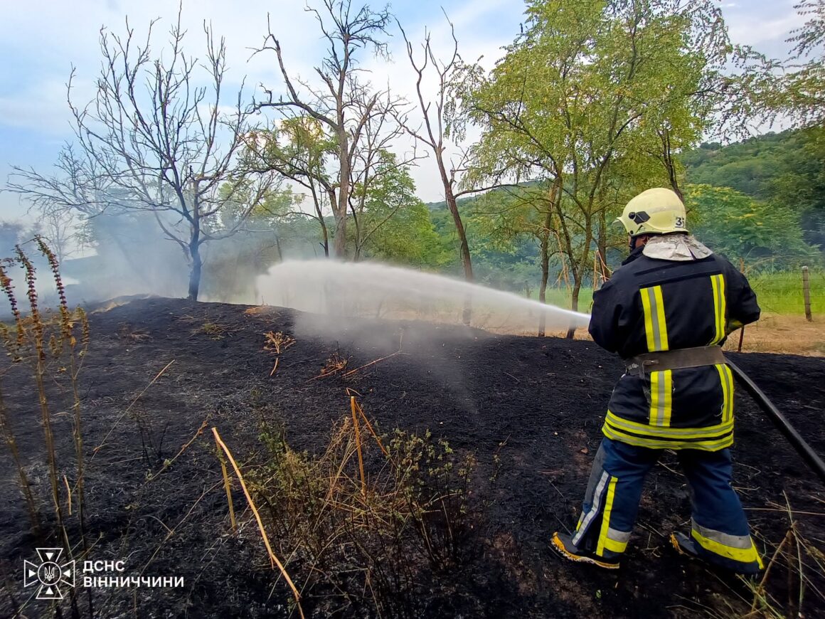 На Вінниччині сталося 22 пожежі в екосистемах