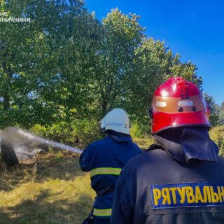 Пожежі на Вінниччині.