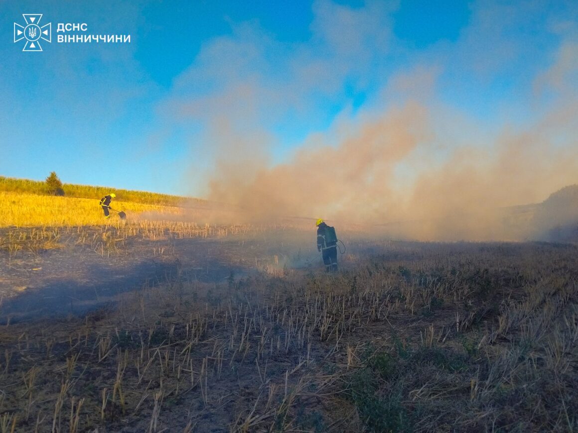 На Вінниччині вигоріло 9 гектарів рослинності