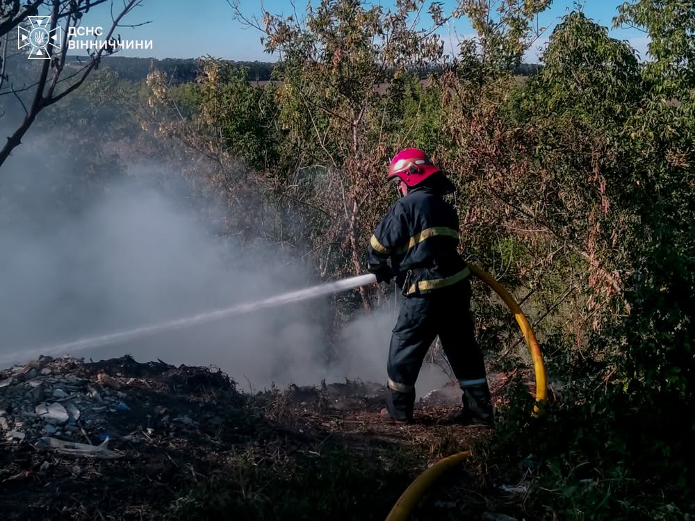 На Вінниччині сталося десять пожеж на відкритих територіях