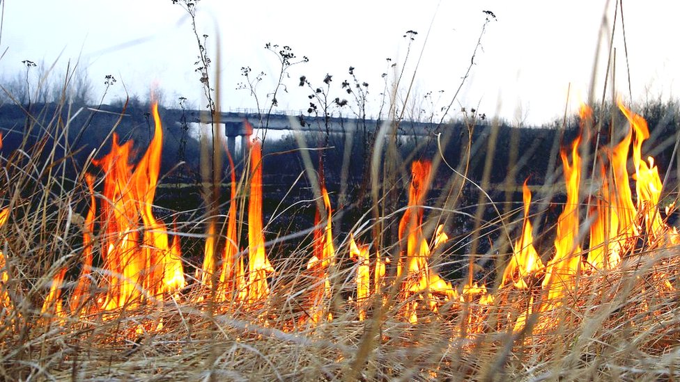 У Вінниці почали працювати групи, які фіксують спалювання трави