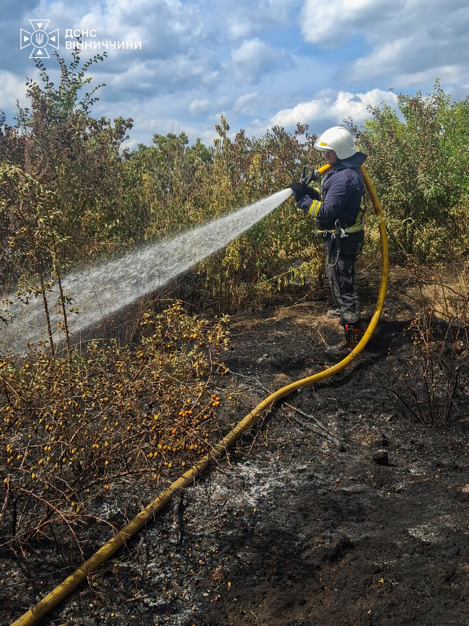 На Вінниччині горіли земля та стерні на 15 гектарах