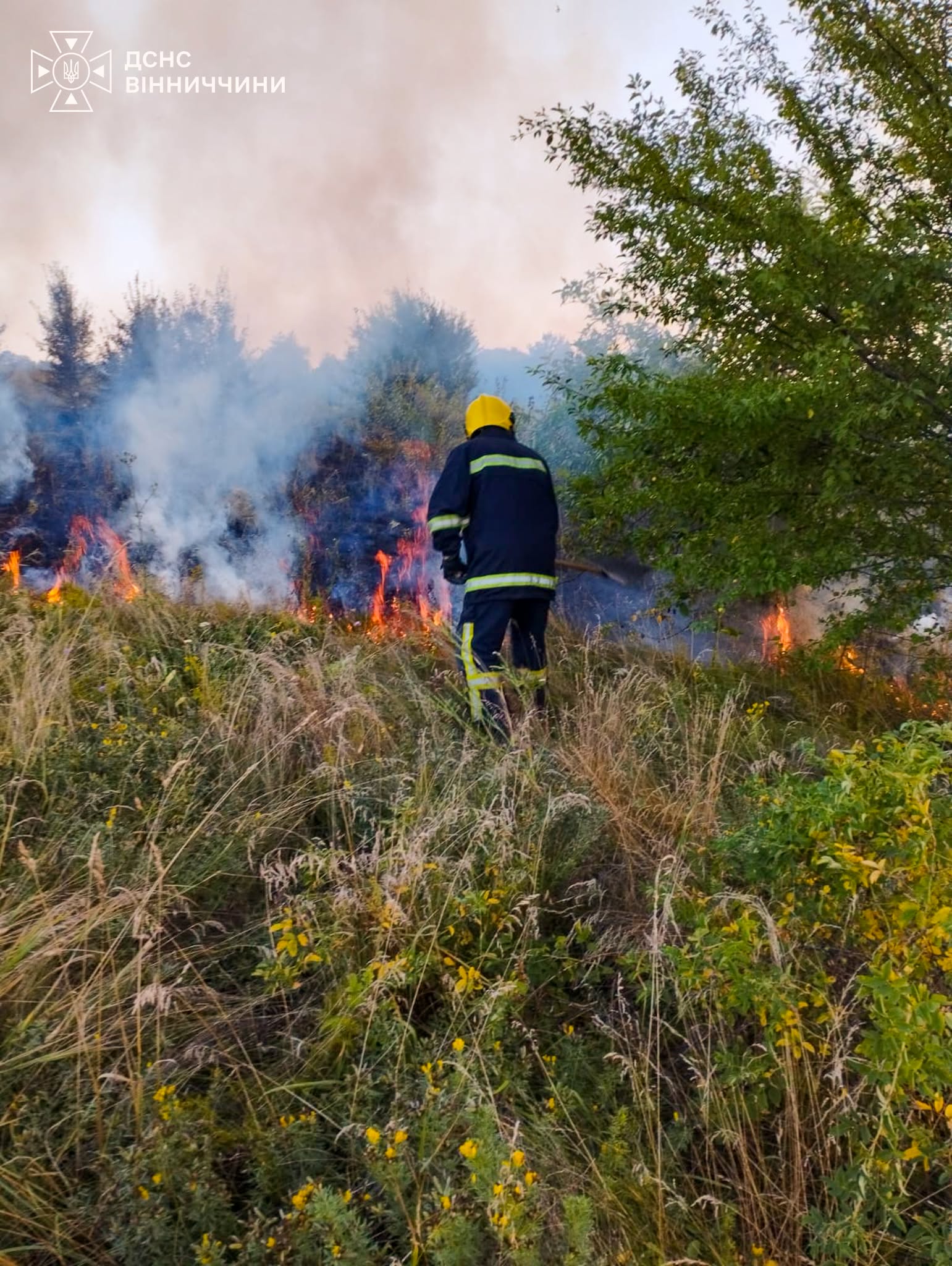У Вінницькій області згоріло 1,7 гектара пшениці