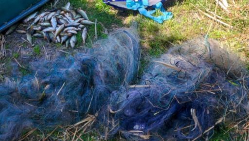 На Вінниччині двоє браконьєрів ловили рибу трьома сітками