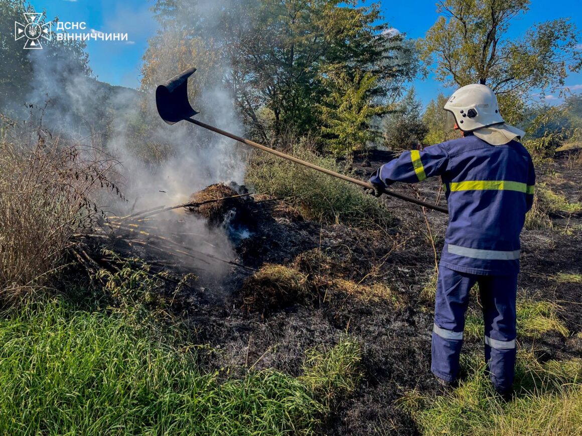 На Вінниччині вогонь знищив рослинність на трьох гектарах