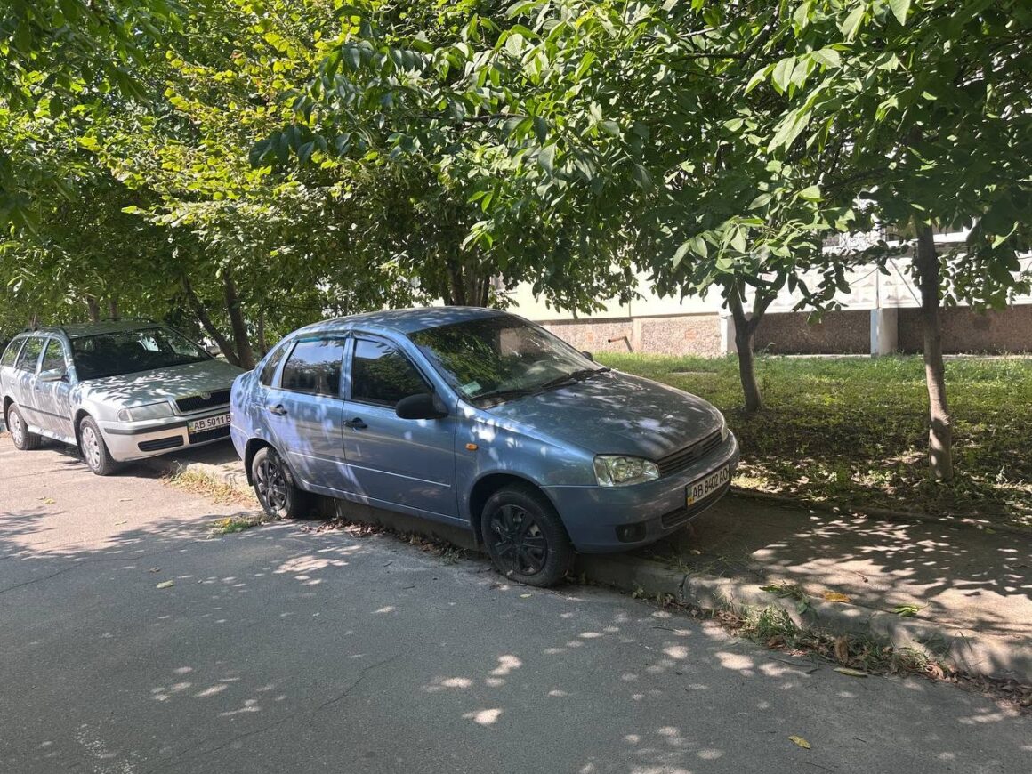 Оприлюднили фото занедбаних вінницьких автівок